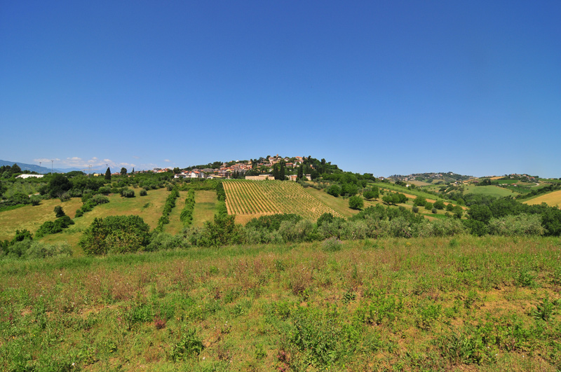 Bisogno di aiuto in Provincia di Ascoli